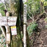 ［開聞岳］- 鹿兒島縣地標⛰️