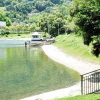 打卡位 小白鷺餐廳