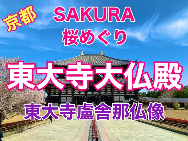 奈良　SAKURA 桜めぐり❗️東大寺大仏殿と桜のコラボに感動！