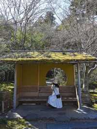 宮城旅行　利府の馬の背