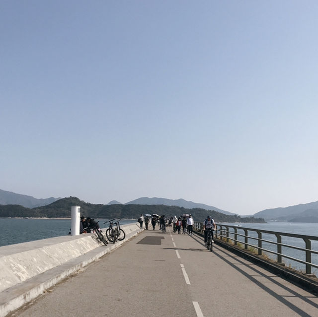 大美督水壩靚景
