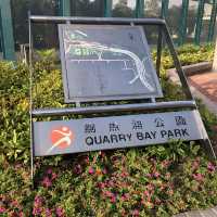 環境優美嘅鰂魚涌公園