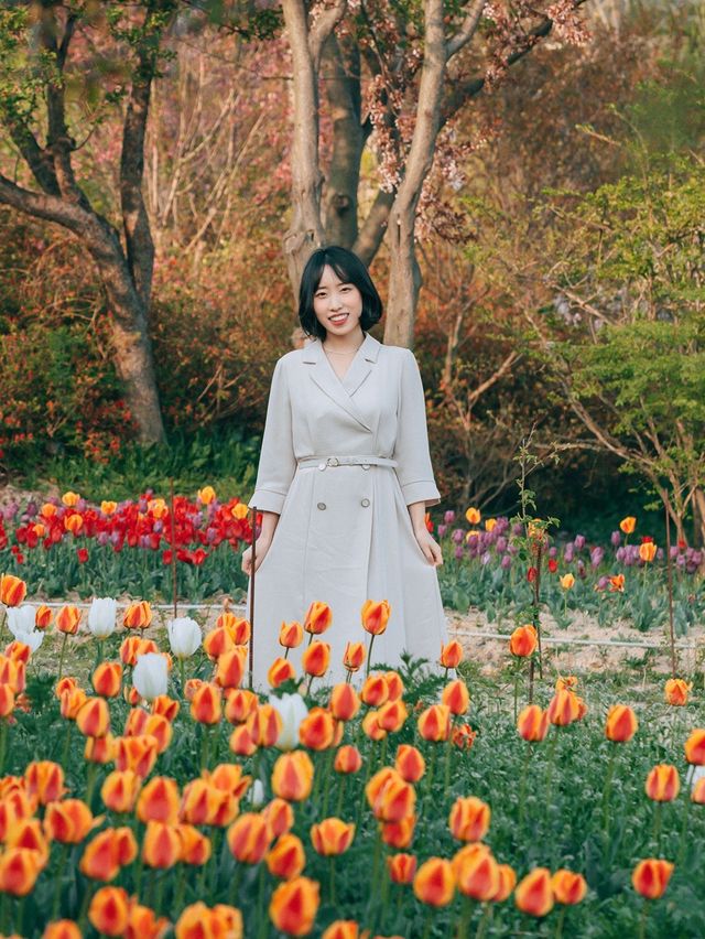 인생샷 찍기 좋은 당진 아그로랜드💚
