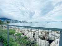 苗圃公園無敵海景