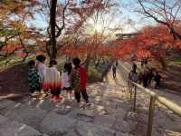 「鬼滅之刃」粉絲的朝聖地｜竈門神社