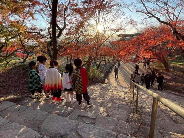 「鬼滅之刃」粉絲的朝聖地｜竈門神社
