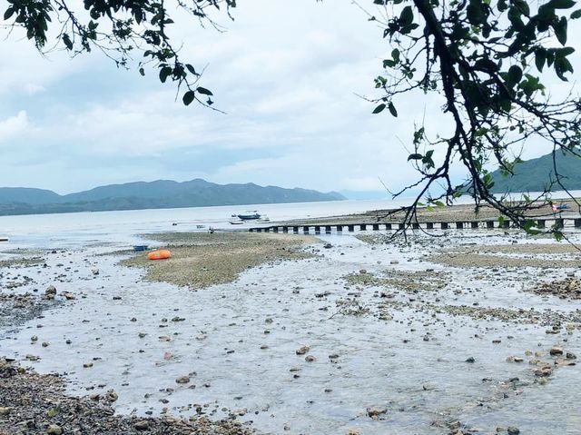 泥涌失望之旅