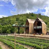 ฟาร์มคาเฟ่ #ฟาร์มทูคาเฟ่