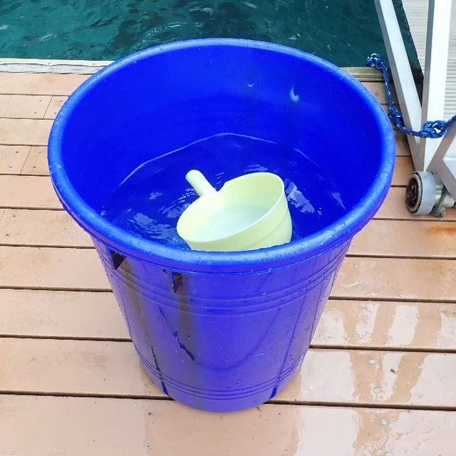【パラオ】パラオといえばの大人気な湖