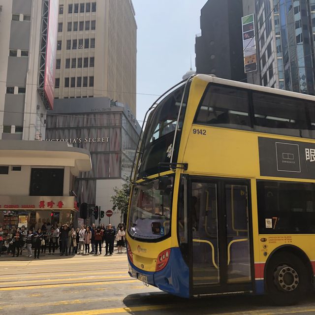 여름이면 생각나는 홍콩여행 