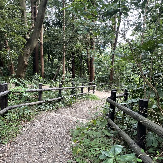 【横浜】ホタルの住む陣ヶ下渓谷公園