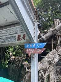 高雄柴山秘境小漁港｜還可以看到猴子🐒