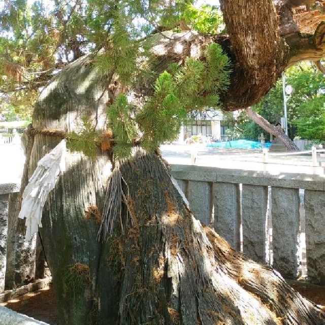 兵庫県のブライダル都市にある厳かな高砂神社