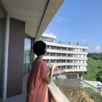 🌿제주 서귀포 환상적인 히든클리프&네이처 호텔🌿