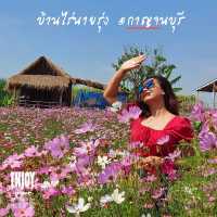บ้านไร่นายรุ่ง สวนดอกไม้ที่บานตลอดปี