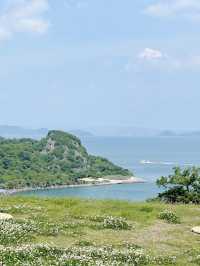 豊島＊豊島美術館