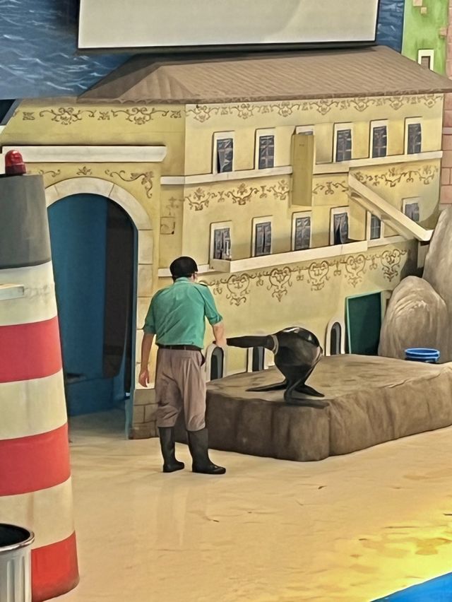 에버랜드 데이트🤍