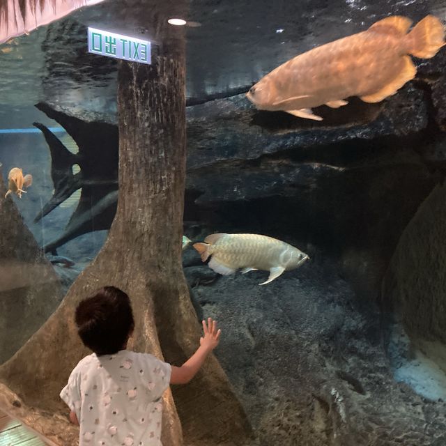 《親子活動～暢遊天水圍濕地公園》