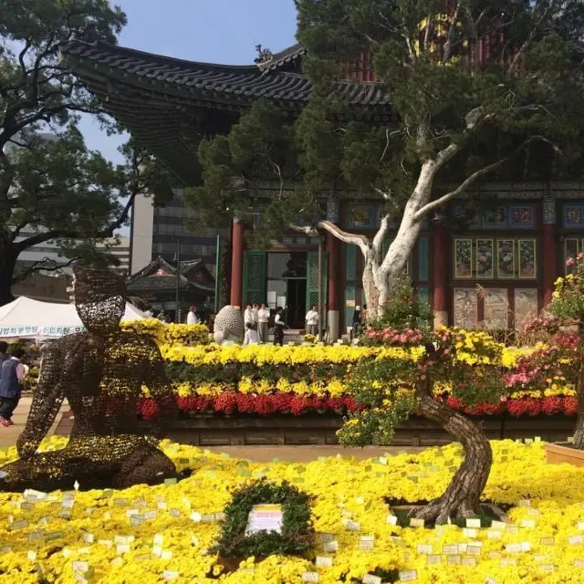 Autumn chrysanthemum festival at this temple