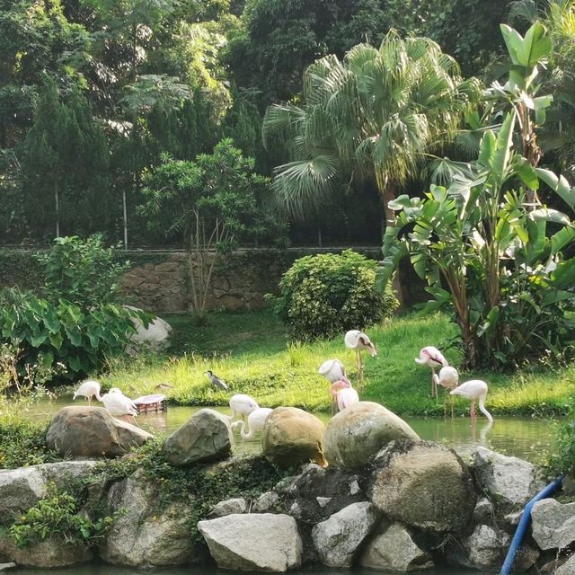 falling for this Seac Pai Van Panda Park