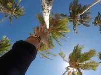 Nha Trang - picturesque coastal city