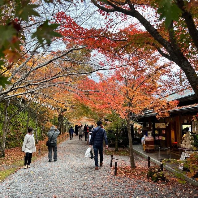 【京都】紅葉が美しい京都のパワースポット