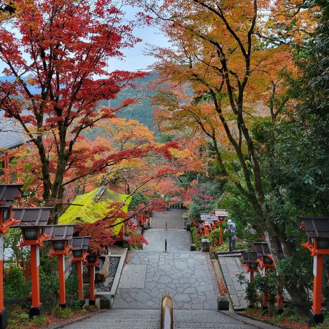 在山上感受天地靈氣｜鞍馬寺