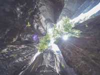 Stone Forest Geological Park@Kunming