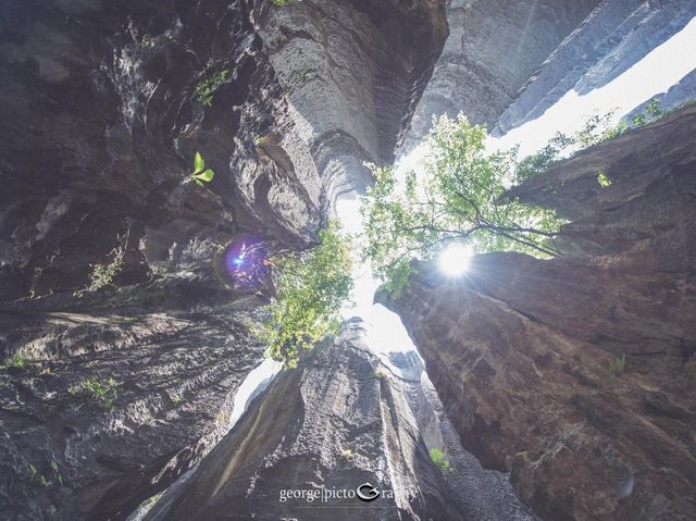 Stone Forest Geological Park@Kunming