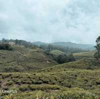 Trip to paradise land in South India -Kerala