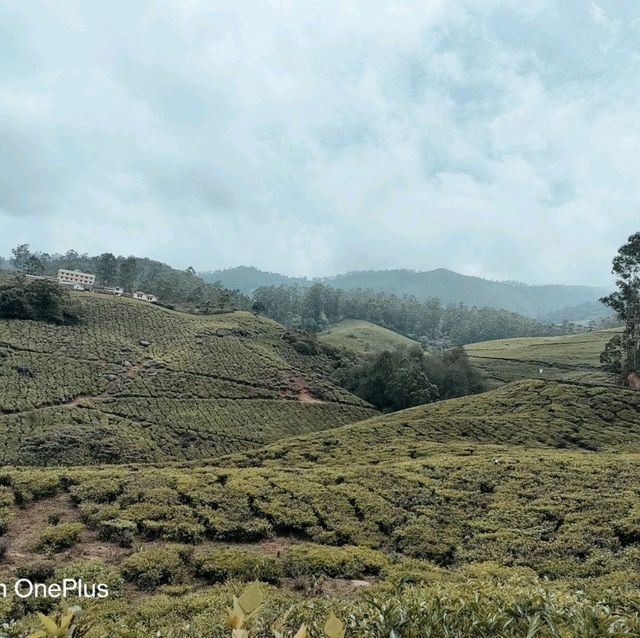 Trip to paradise land in South India -Kerala