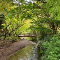 【湯布院】散策が楽しい♪