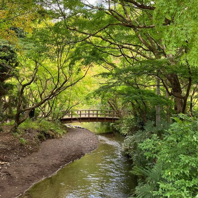 【湯布院】散策が楽しい♪
