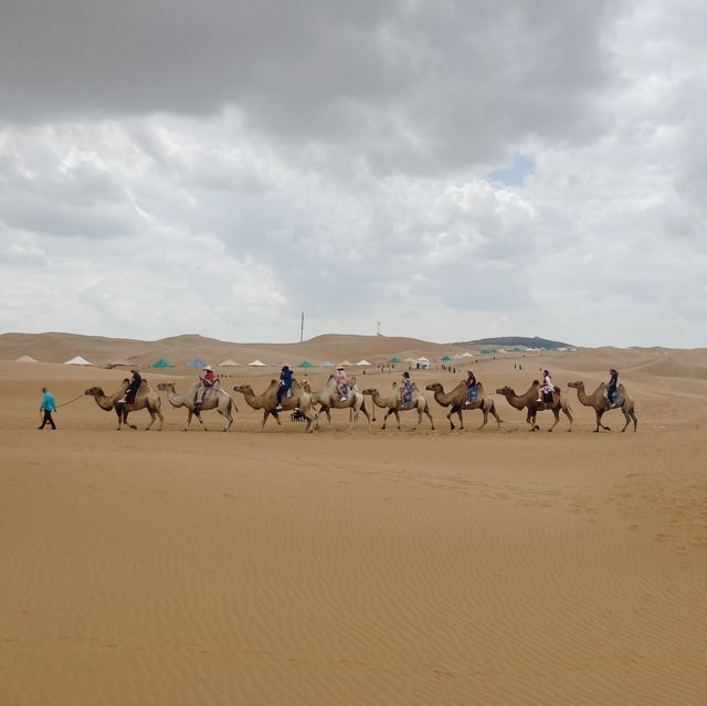 Inner Mongolian Desert
