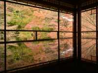 【京都】紅葉の名所♪瑠璃光院でみる絶景