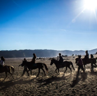 Mount Bromo