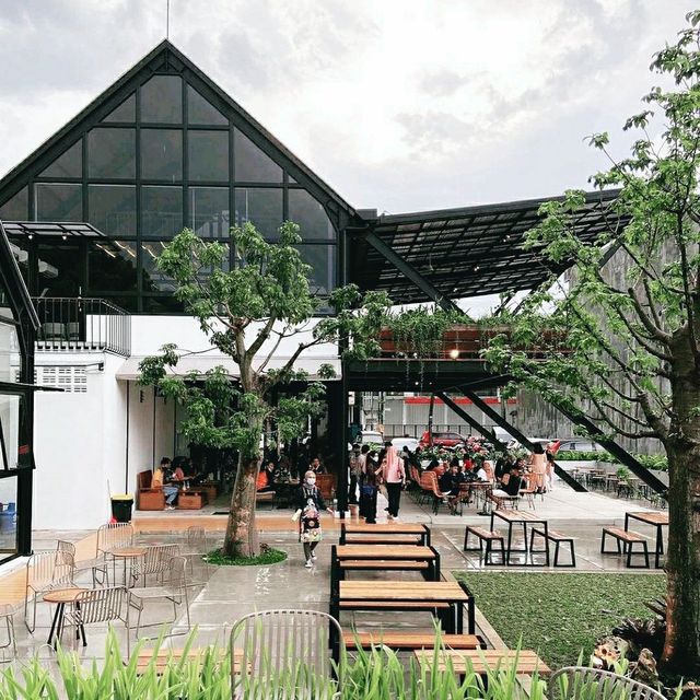 My Own Barn, Shanghai