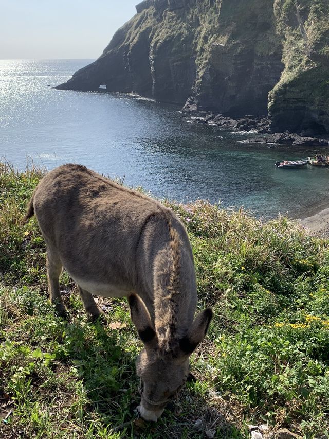 검멀레해변