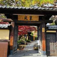 嵐山の紅葉を存分に楽しめた！