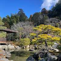 【銀閣寺】日本庭園🇯🇵