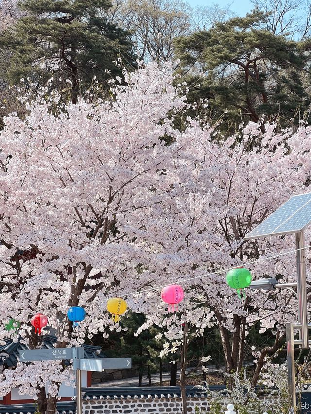 북한산과 정릉천이 이쁜 산책길 ‘정릉산책길’