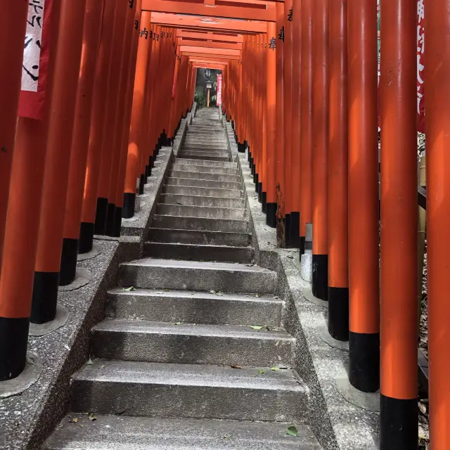 【日枝神社】鳥居だけで当てた方は…クイズ王？