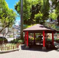 社區裡的悠閒公園｜東豐公園｜炎炎夏日遮陽乘涼的好去處