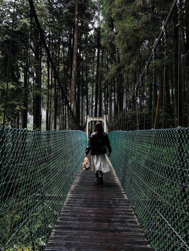 Alishan - Shenmu station 
