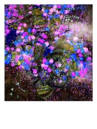澳門｜Teamlab 打卡👍🏻正