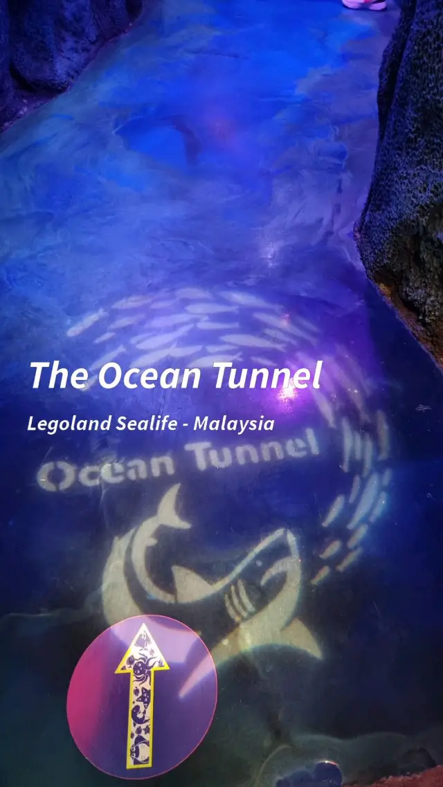 The Ocean Tunnel At Sealife