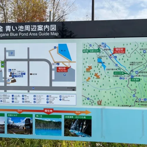 【北海道:美瑛】紅葉と青い池を愛でる