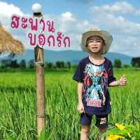เดินสะพานสายรุ้งวิวทุ่งนา@ตะวัน นา คาเฟ่