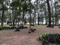 หาดในยาง จ.ภูเก็ต