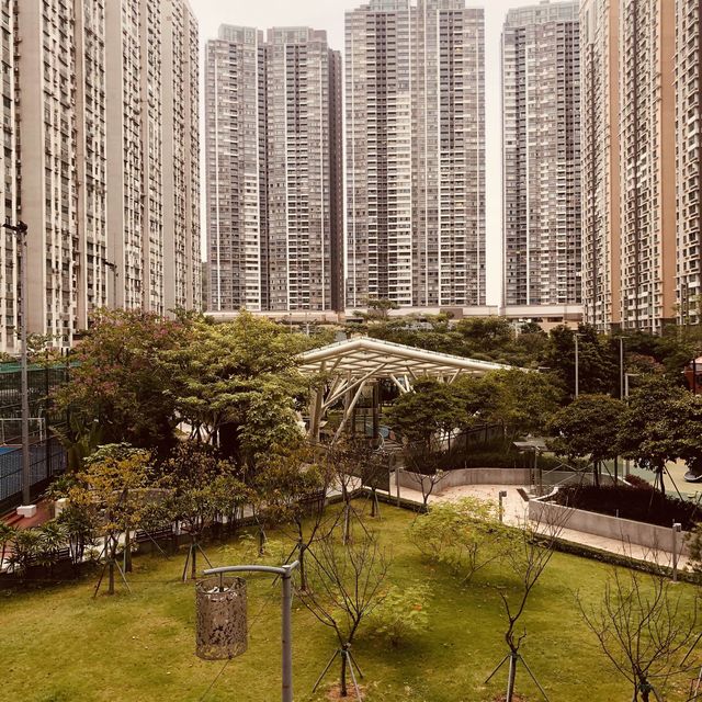 TAIPA CENTRAL PARK MACAU 